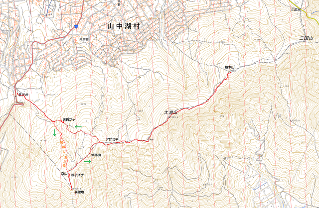 201126三国山稜ブナ軌跡.bmp