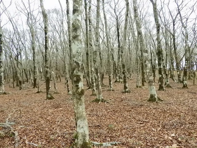 DSCN0036.jpg