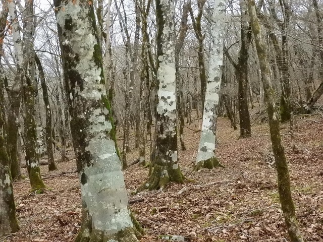 DSCN0032.jpg
