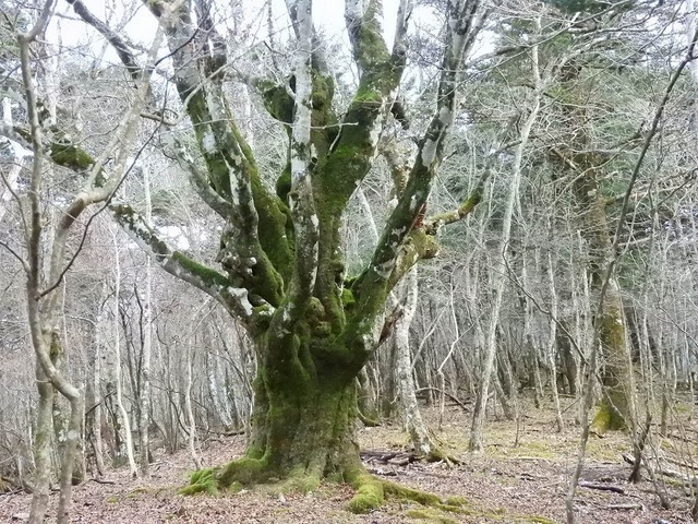 DSCN0046.jpg