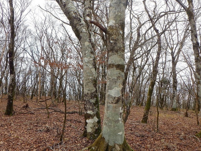 RIMG4622.jpg