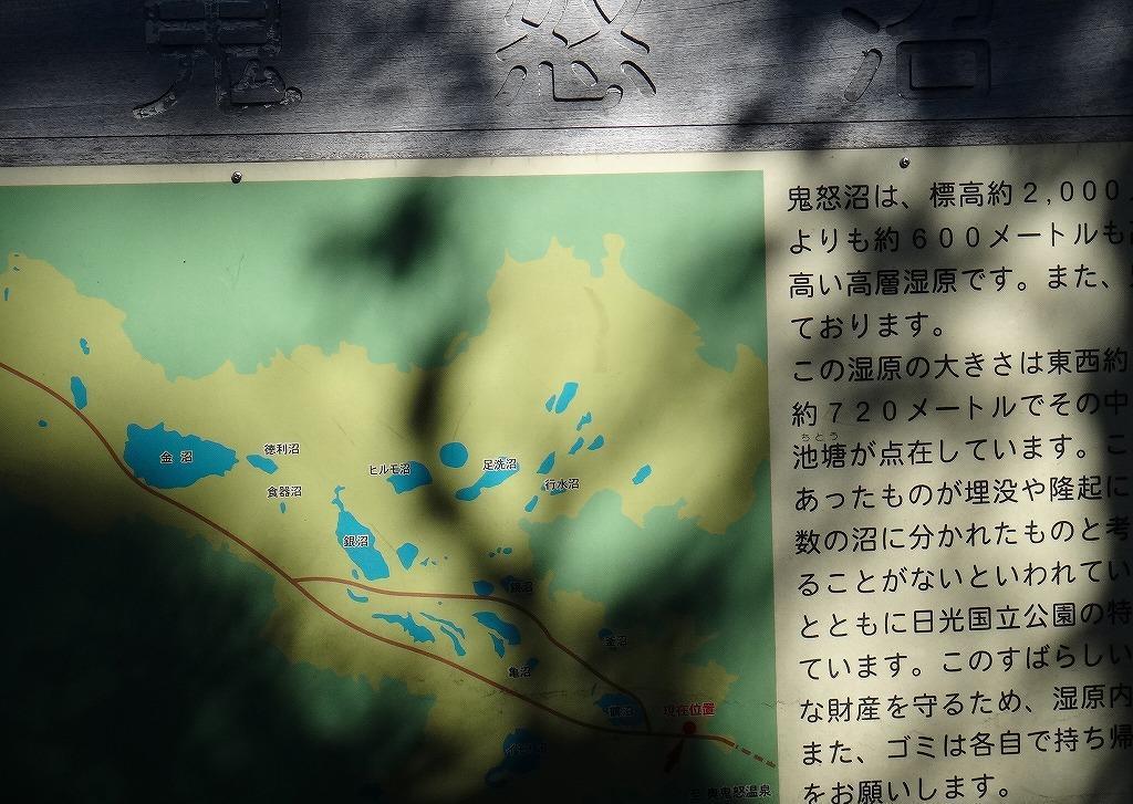 雑誌 岳人 8冊 辻まことの表紙絵 最新号について｜山岳雑誌『岳人』